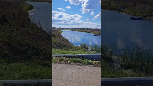 Водоем кишит рыбой