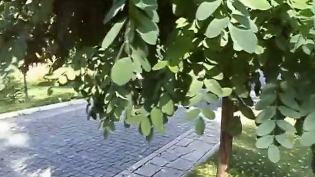 Клубный дом Нагорная 29+.MP4 смотреть онлайн