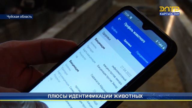 ПЛЮСЫ ИДЕНТИФИКАЦИИ ЖИВОТНЫХ смотреть онлайн