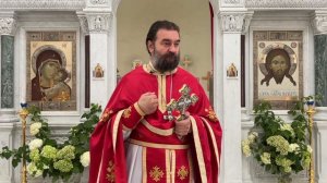 Протоиерей Андрей Ткачёв - Мы страдаем от своих...