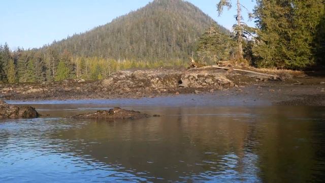 Егерь чуть не заплакал, увидев дрожащих возле мертвой мамы. Он решил сделать немыслимое смотреть онлайн