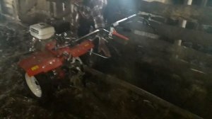 Убрать навоз ! Мотоблоком или лошадью?