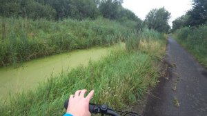 ЛЮК в НЕМЕЦКОМ лесу...Дикая природа Германии...Пробую ягоды...