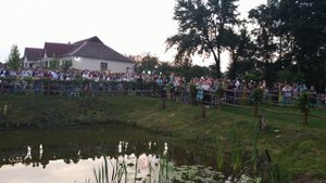 Цветок подари мне .    Анна КРЕЙДИЧ.