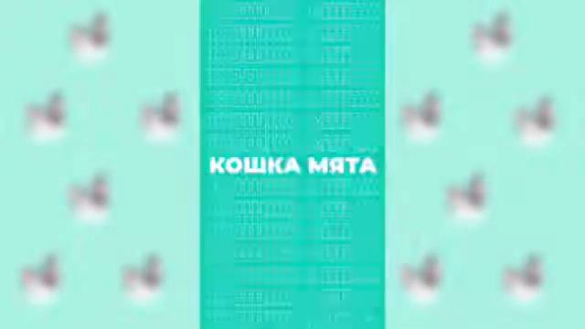 Мятный кошка мята тик ток мятный