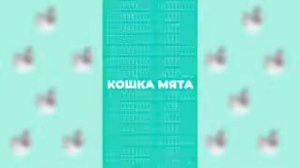 Мятный кошка мята тик ток мятный