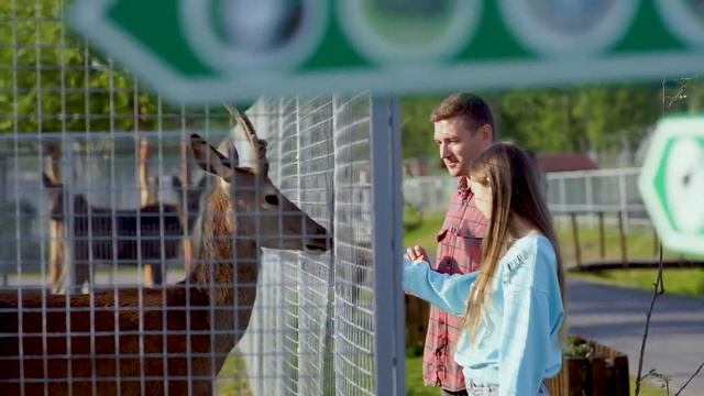 Карельский зоопарк. В Карелию за впечатлениями!  Зима.