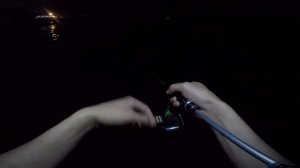 Rockfish, Рыбалка в Адлере, Ставриды