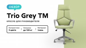 Обзор кресла для руководителя Trio Grey TM