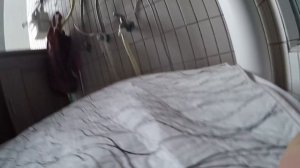 Аренда квартир в Китае, город Гуанчжоу. Смотрим квартиры рядом с канадской школой.