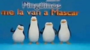 Кавасаки, Каго, Крико и Эстрипер  1 час