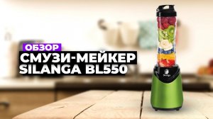 Обзор смузи-мейкера Silanga BL550  Лучший блендер в 2024 году ⚡️ Какой купить?