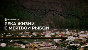 Река жизни с мертвой рыбой
