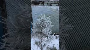Прогулка в Краснокаменске