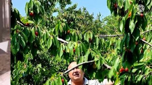 Я так хочу до дому