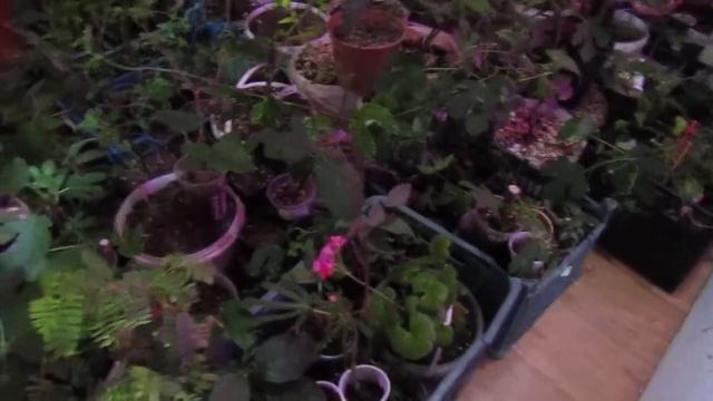 23 февраля смотреть онлайн