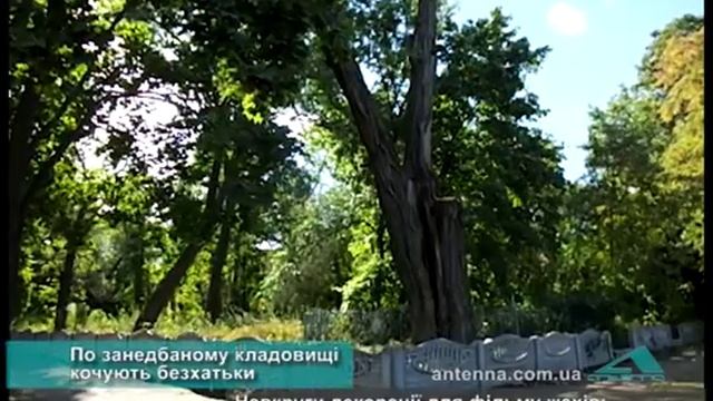 У мікрорайоні «Казбет» старий цвинтар наводить жах смотреть онлайн