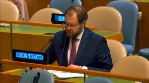 DPR Dmitry Chumakov at the adoption of the Declaration of the HLPF on Sustainable Development