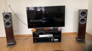 Fyne Audio f501+music hall+node N130