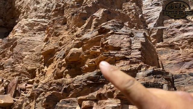AVENTURA NUMERO 268 INCREÍBLE HALLAZGO DE RUINAS CON MÁS DE 700 AñOS PARTE 5 смотреть онлайн