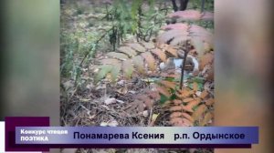 Конкурс чтецов Поэтика |  Понамарева Ксения | Зайчик | Новосибирская область, р.п. Ордынскоеp4