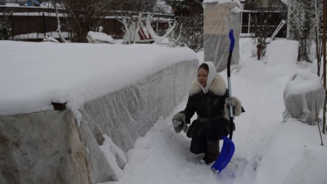Снегозадержание в январе смотреть онлайн