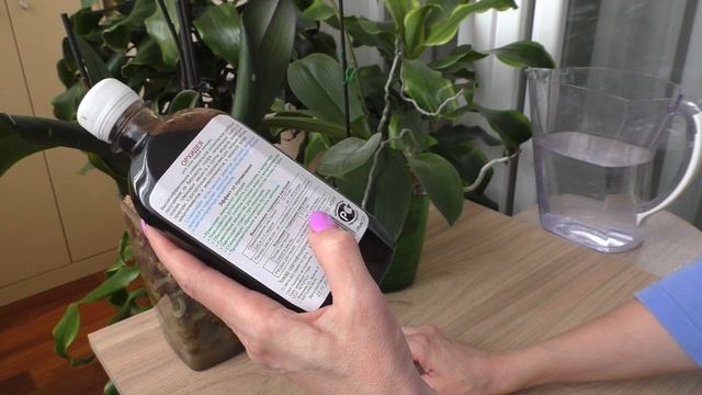 Орхидеи ОНА ЗАЦВЕЛА / Удобрения в закрытой и полузакрытой посадке/ Не отломить цветонос при фиксаци смотреть онлайн