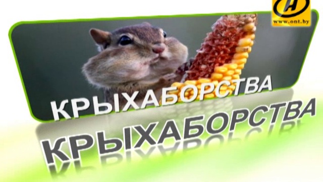 Белорусский язык с Андрусем