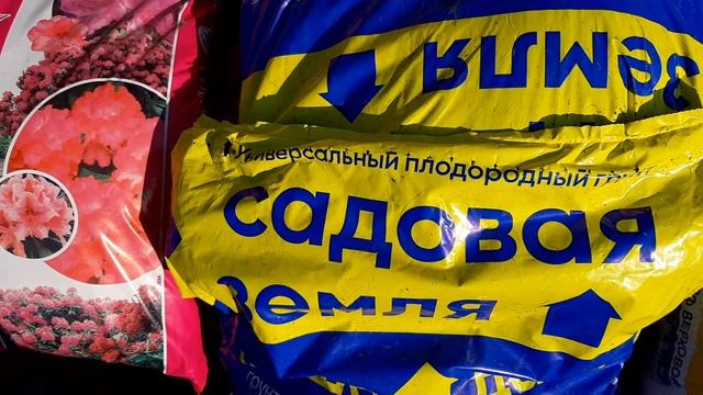 КНЯЖЕНИКА. ГРУНТ. ПОЧВА.