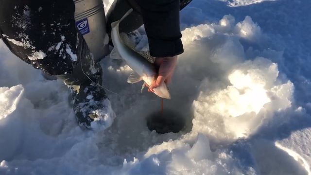 Рыбалка в Рождество смотреть онлайн