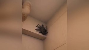 Пугающие Видео Которые никто не может Объяснить !