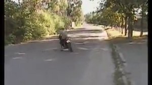 Yamaha FZX 250 Zeal.avi