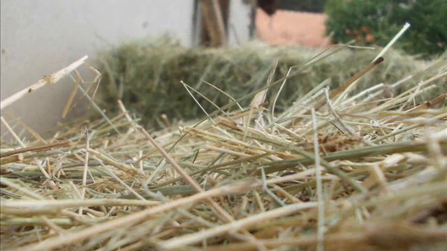 Nikon L23-photos 3 смотреть онлайн