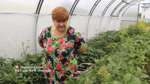 Это Важно Помнить При Выращивании Перца.