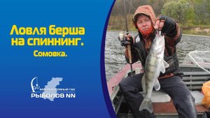 Ловля берша на спиннинг Сомовка