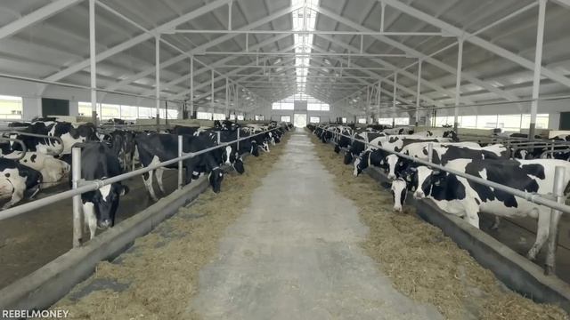 Best Agriculture Business Ideas for 2023 | Most Profitable Agriculture Business in India