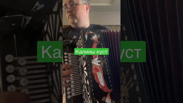 Калины куст #гармонь #калиныкуст #гармонист