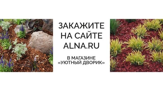Мульчирование корой лиственницы