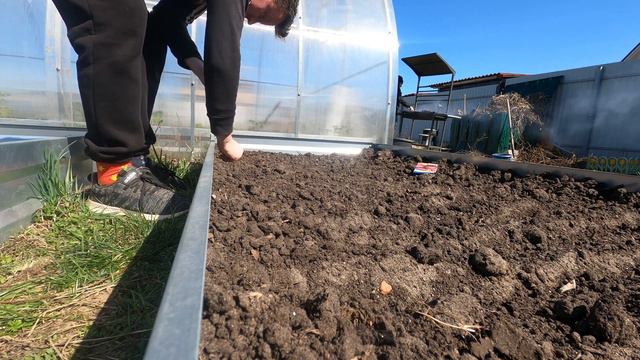 Свеклу, репу сажаем на даче смотреть онлайн