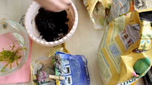 Вабикуса своими руками!