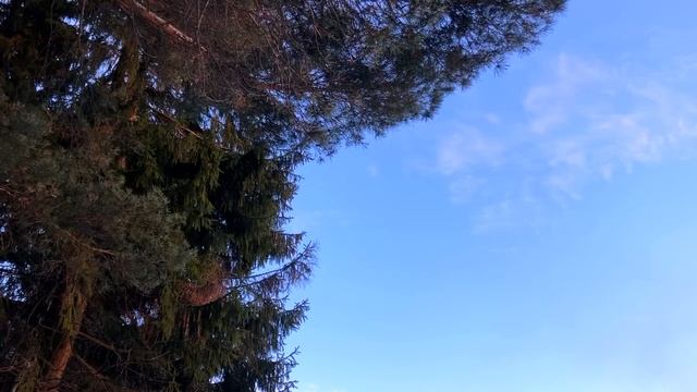 24 января Федосеев День. Что нельзя делать 24 января. Народные традиции и приметы и суеверия смотреть онлайн