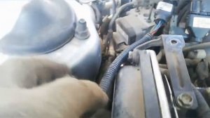 Замена свечей на Хюндай соната EF (Тагаз) 2.0 литра.NGK 144 рубля 1 свеча. Комплект 576 рублей