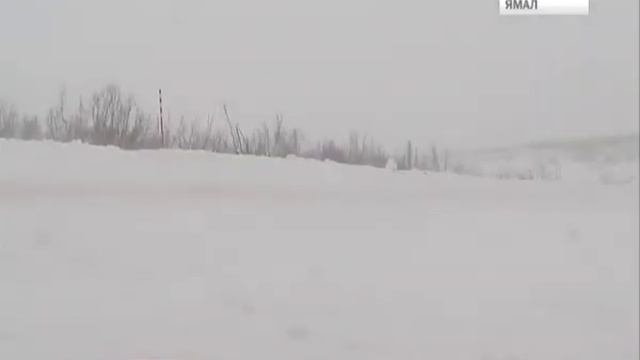 Актуальная информация о работе ямальских зимников смотреть онлайн
