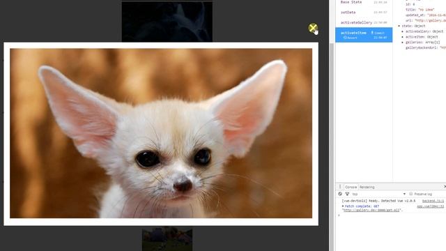 VueJS + Vuex + Vue debug tools
