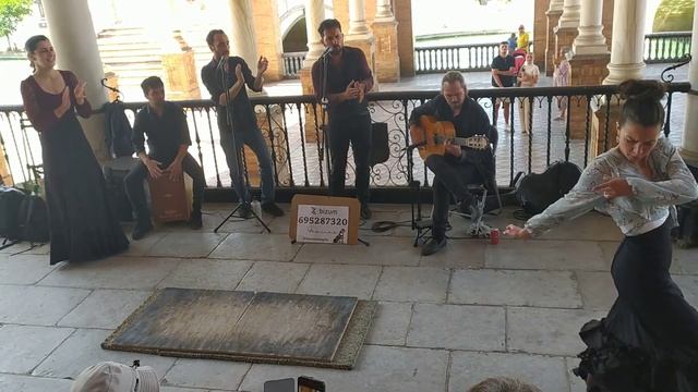 La Flamenco Dance Show Abril 2023 Ep.17 | Plaza España Sevilla #sevillanas #plazaespaña #sevilla смотреть онлайн
