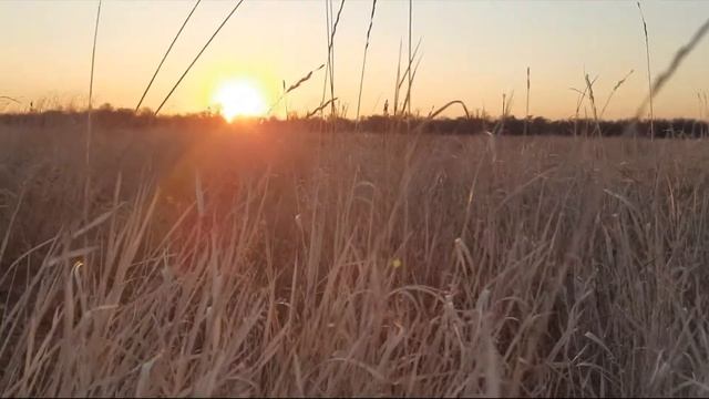 Казачья народная песня "Колечко моё позлачённое" смотреть онлайн