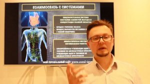 Система кроветворения-1