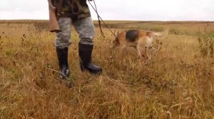 Охотугодья