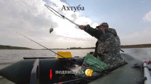 Ахтуба 2021