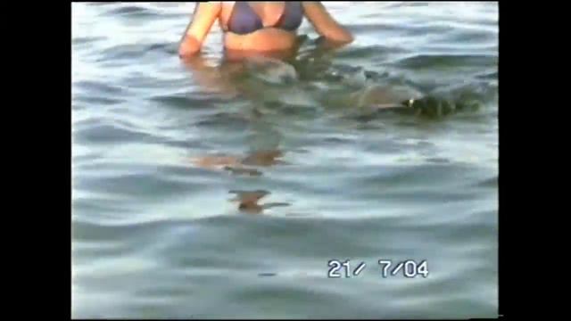 Поздравление на свадьбу от мамы,для Дарьи и Ильи. смотреть онлайн